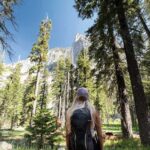 成功への不断の努力と挑戦：夢を追う人々が教える人生の教訓