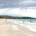 心を打つ感動と美の世界への深い魅了：アートの魔法が紡ぐアーティストの物語